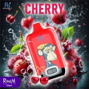 Fumot Boitier numérique 12000 - Cherry