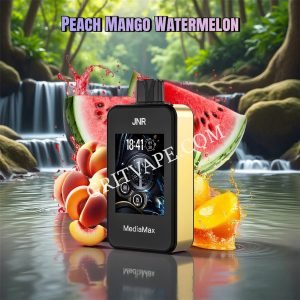 pêche mangue pastèque jnr mediamax 40k bivpjmm40000